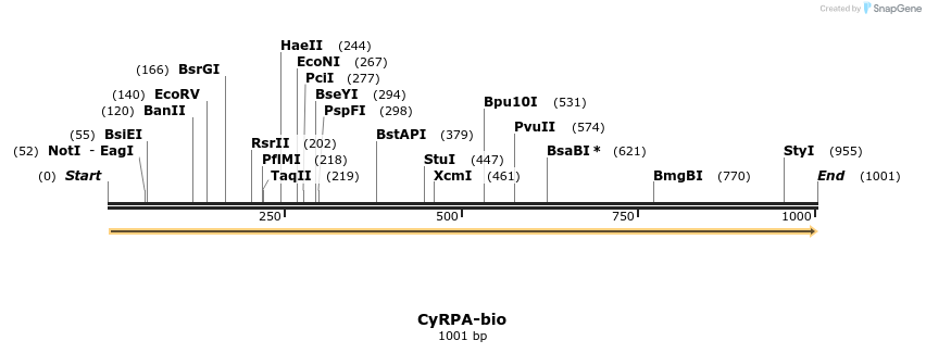 124261_map