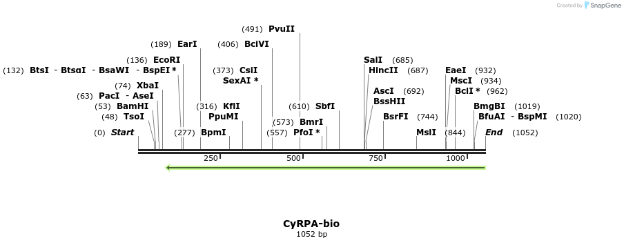 124262_map