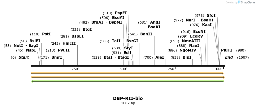 124266_map