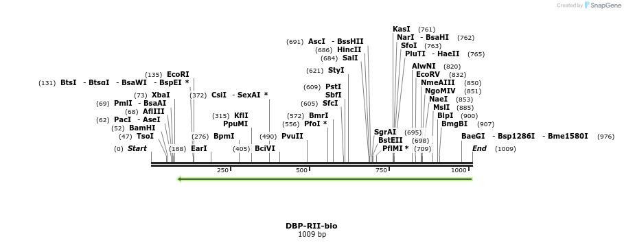 124267_map