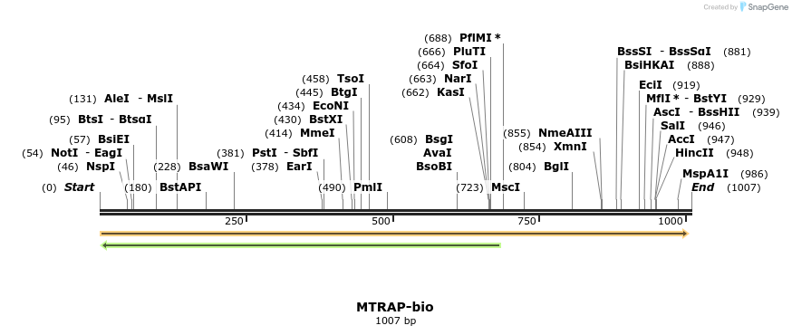 124268_map