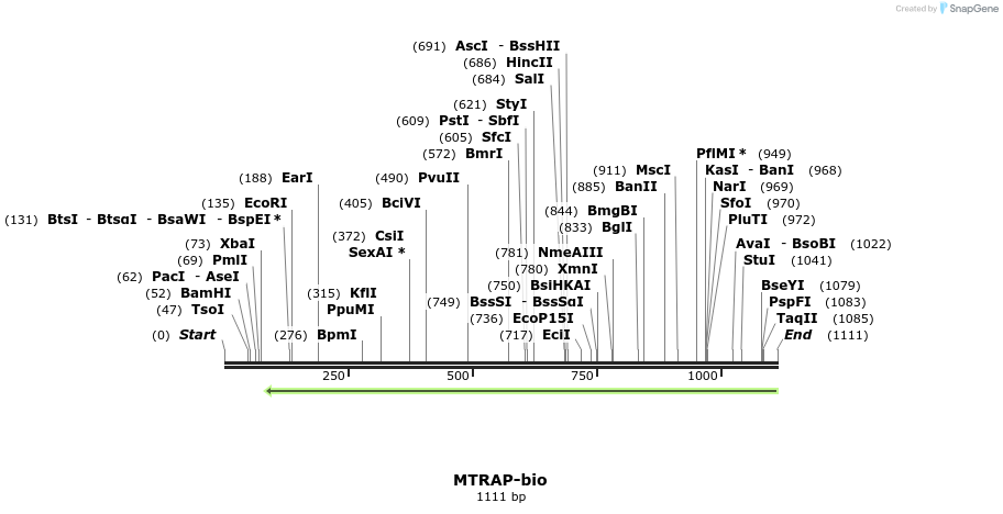 124269_map