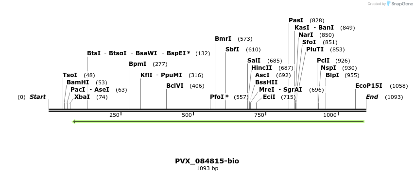 124273_map