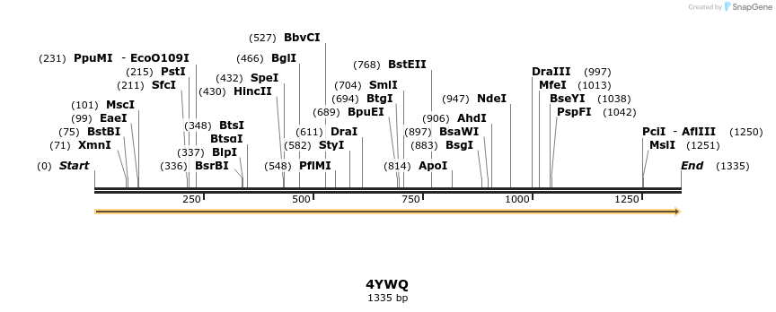 124277_map