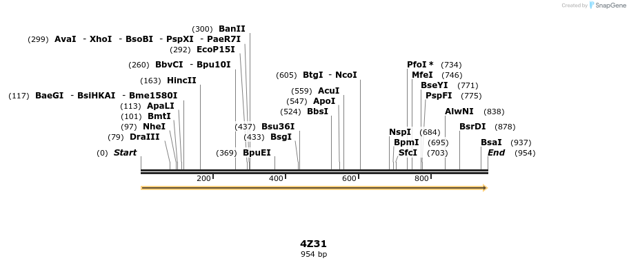 124282_map