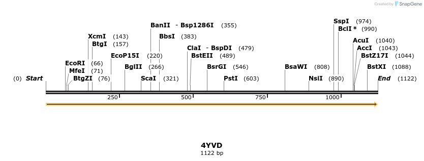 124284_map