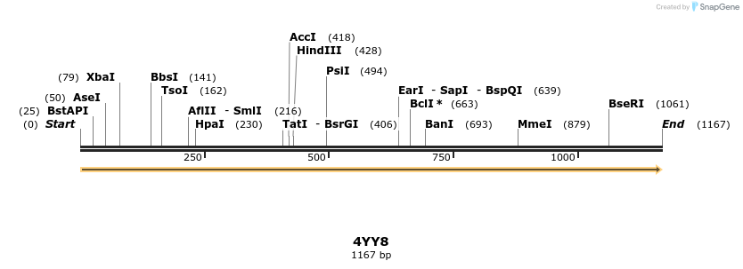 124285_map