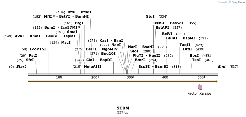 124286_map