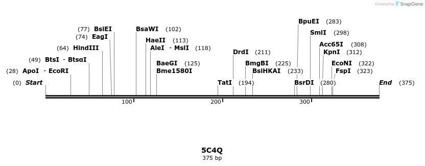 124287_map