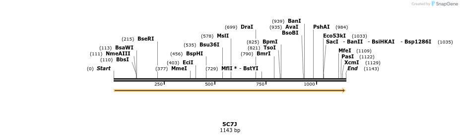 124289_map