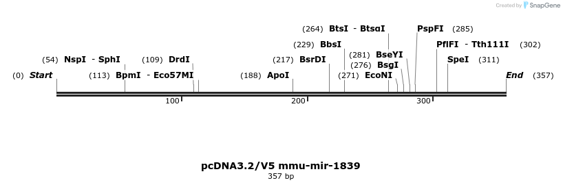 12429_map