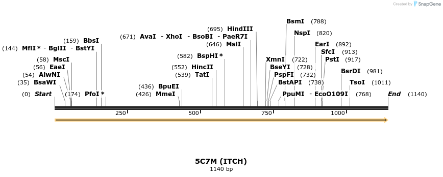 124290_map