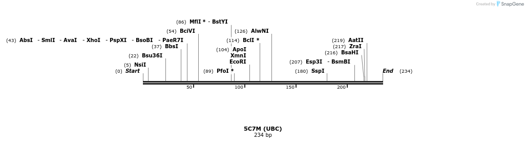124291_map