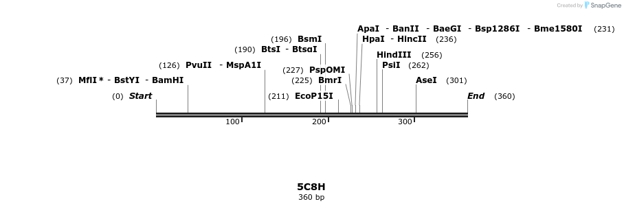 124293_map