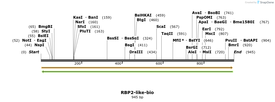 124298_map