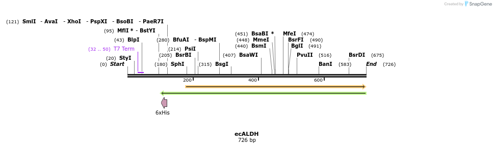 124303_map