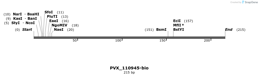124305_map