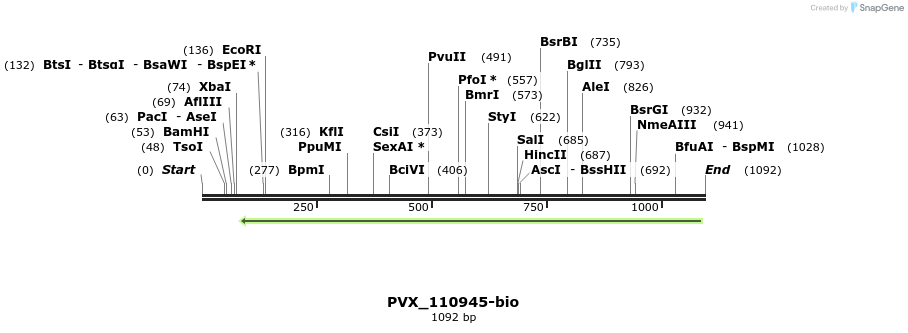 124306_map