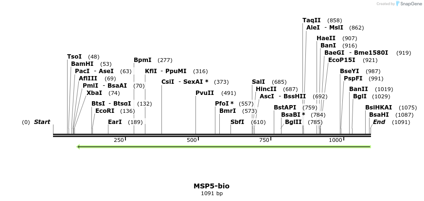 124316_map