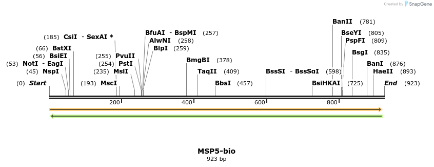 124317_map