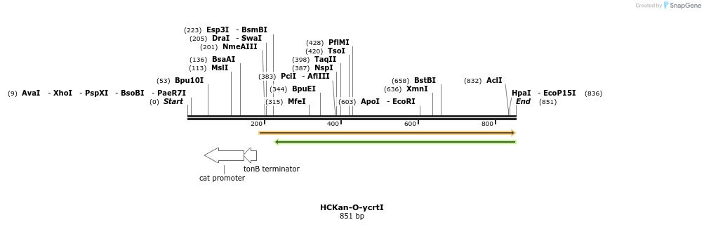 124321_map
