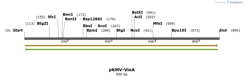 124324_map