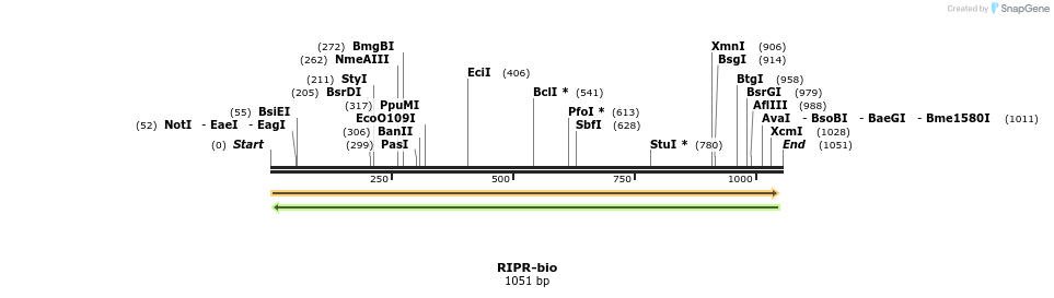 124325_map