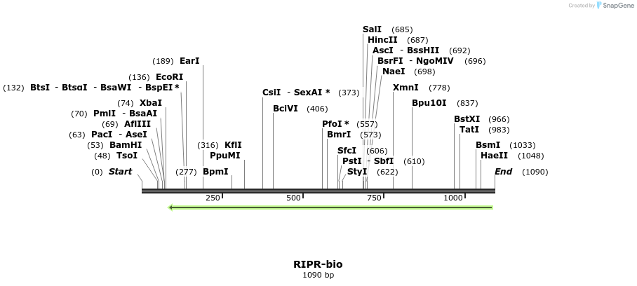 124326_map