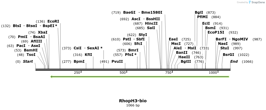 124328_map