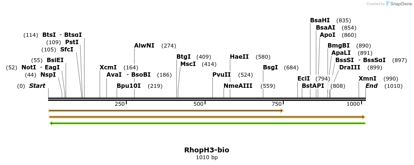 124329_map
