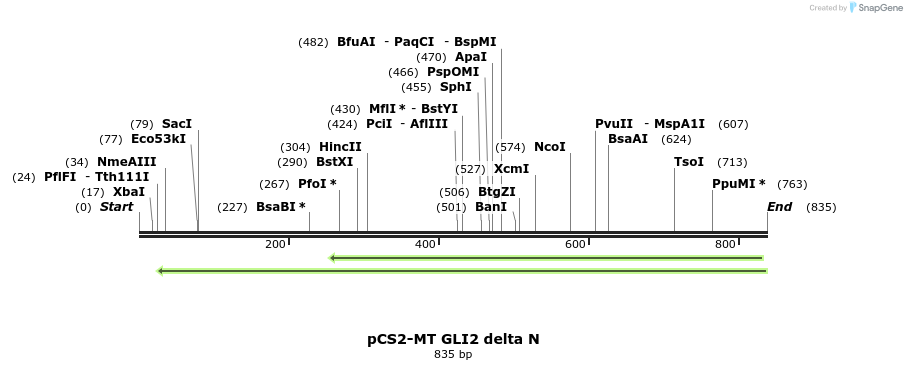 124335_map