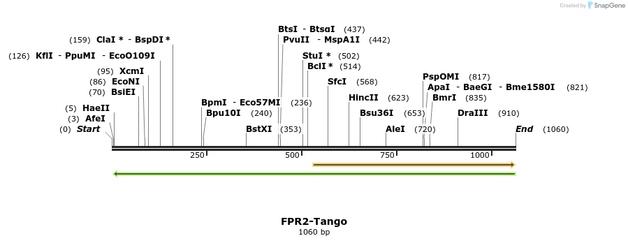124337_map