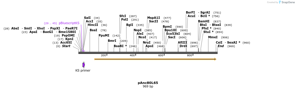124338_map
