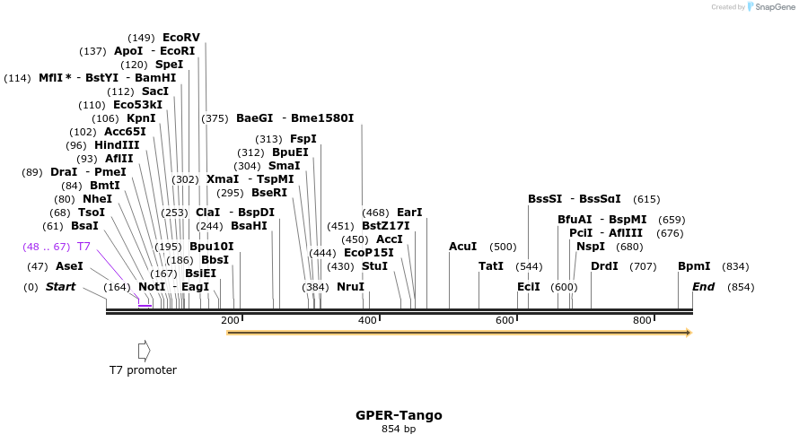 124341_map