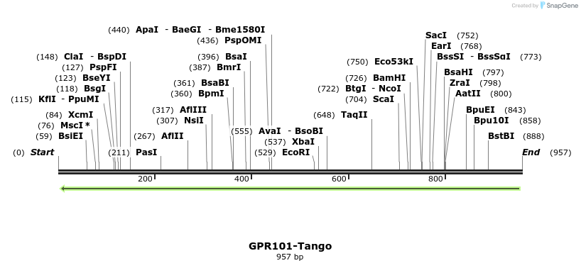 124344_map