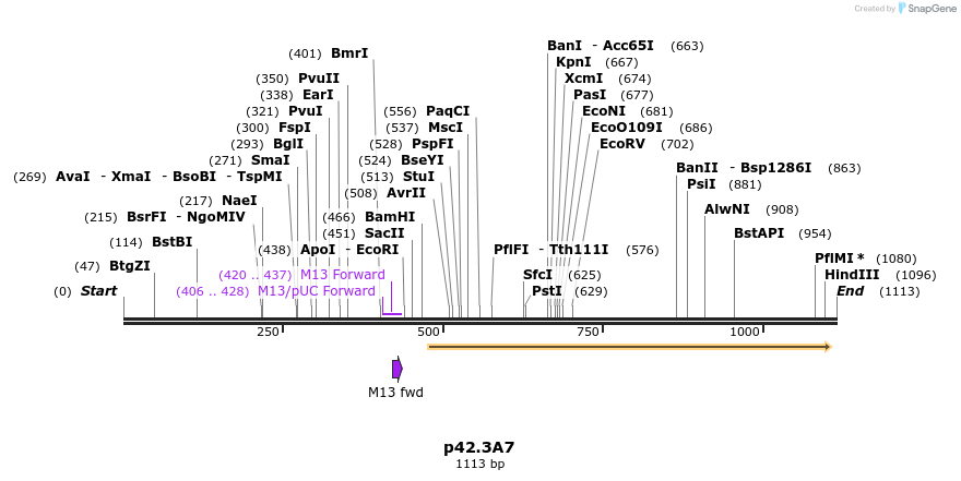 124345_map