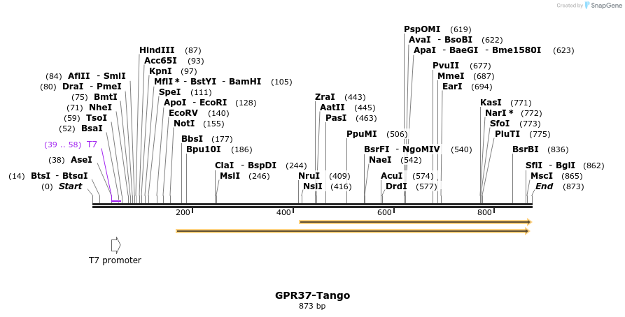 124349_map