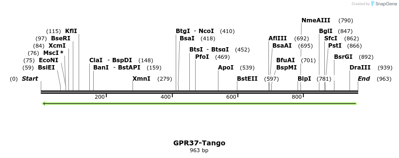 124350_map