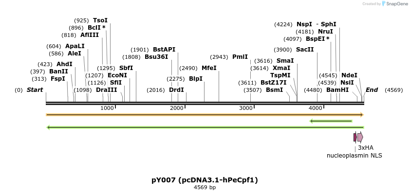 124362_map