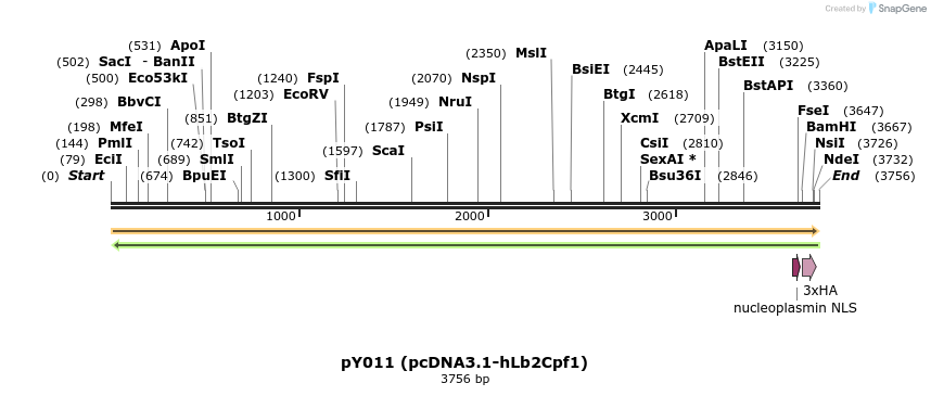 124368_map