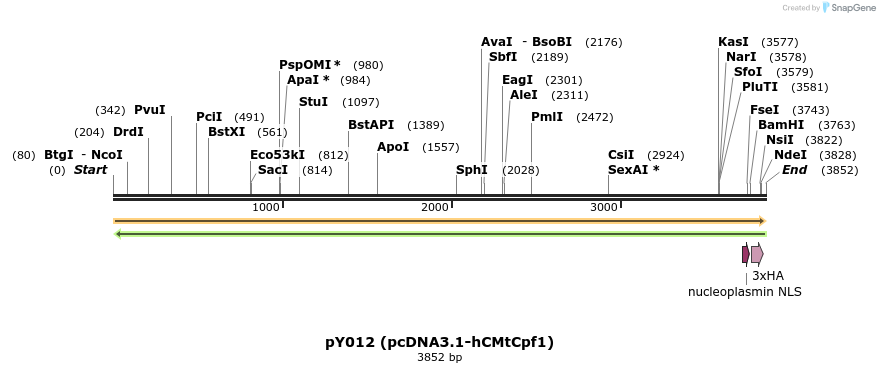 124369_map