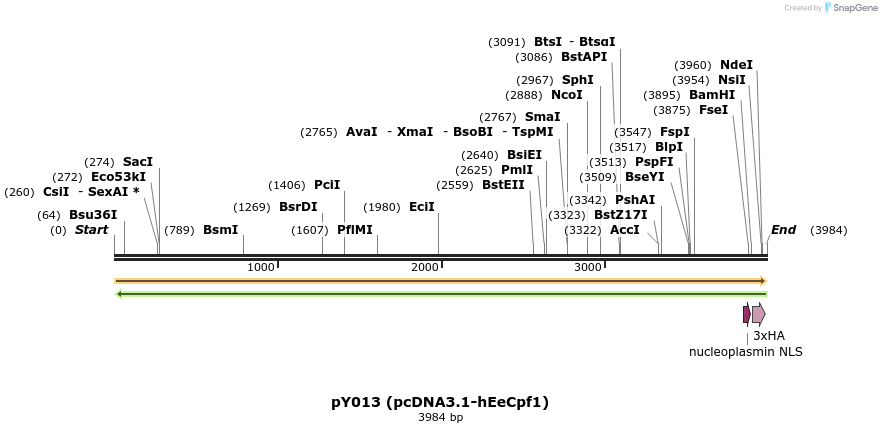 124370_map