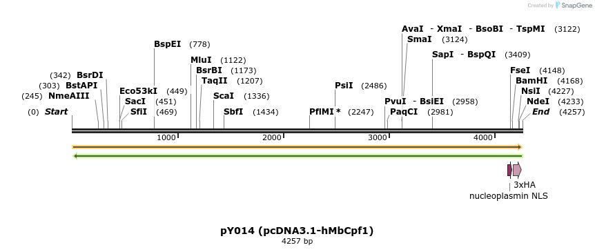 124371_map