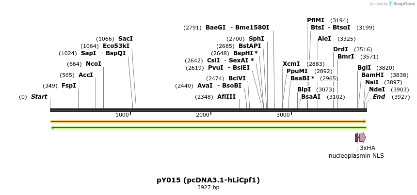 124372_map