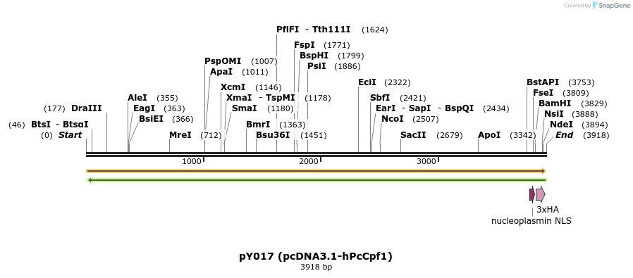124374_map