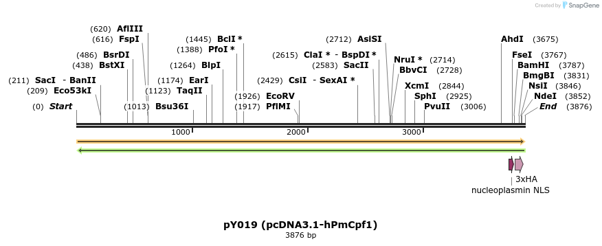 124376_map