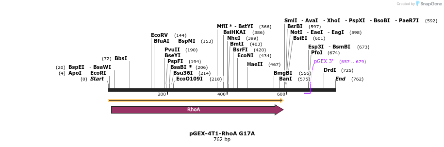 124381_map