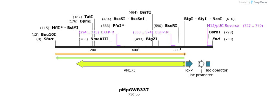 124386_map