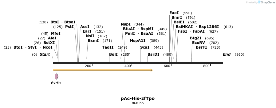 124392_map