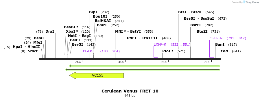 124394_map